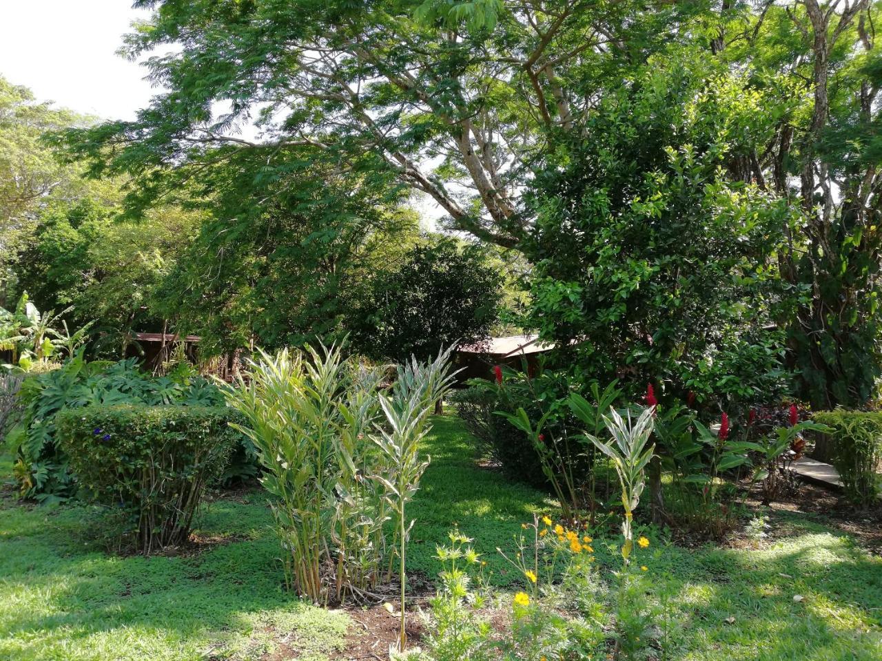 Hotel Rincon De La Vieja Lodge Liberia Exterior photo