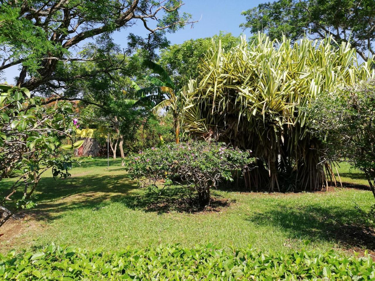 Hotel Rincon De La Vieja Lodge Liberia Exterior photo