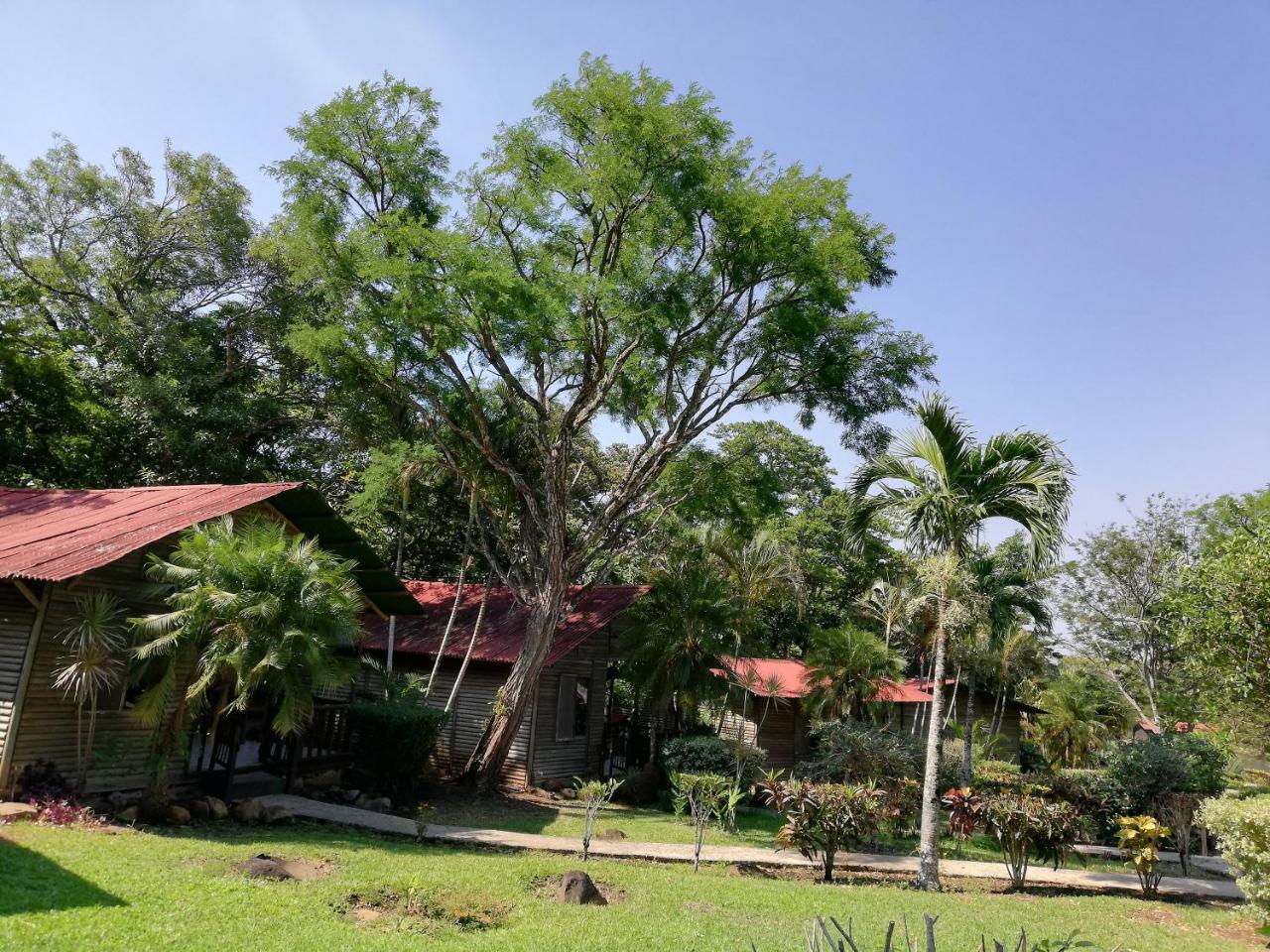 Hotel Rincon De La Vieja Lodge Liberia Exterior photo