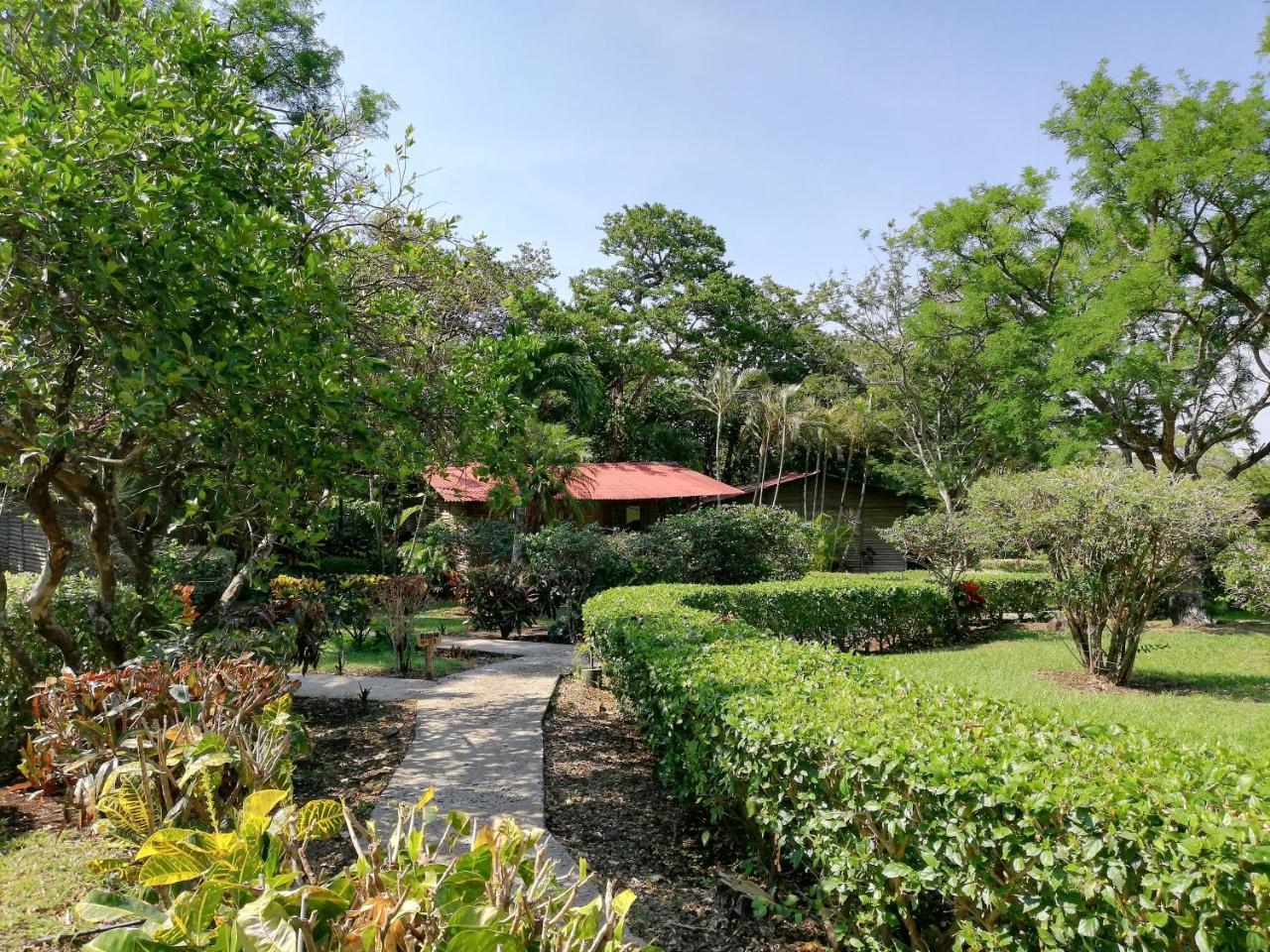 Hotel Rincon De La Vieja Lodge Liberia Exterior photo